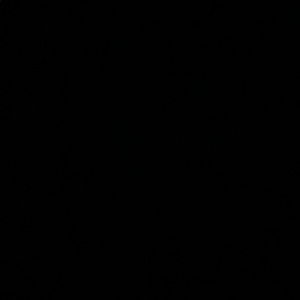 Meet your Posher, Martha